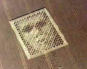 Arecibo Response, the Face