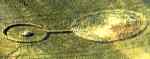 Dumbbell crop circle