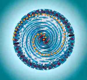 Illustration from Tiller book cover