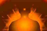 Red Bioenergy Fields